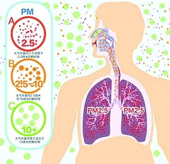 空气质量与呼吸系统，密切关联下的健康影响探讨