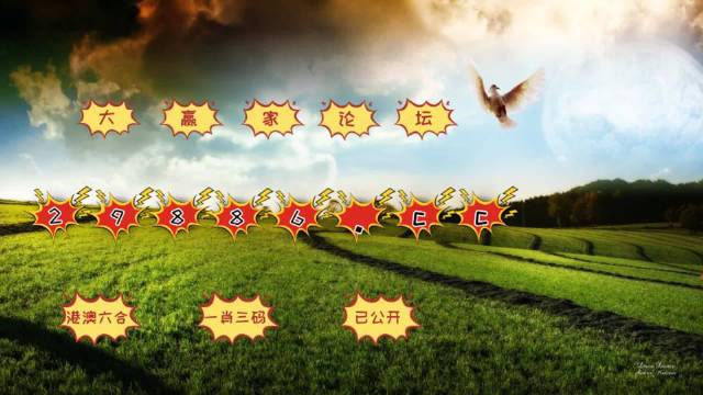2024年12月 第873页