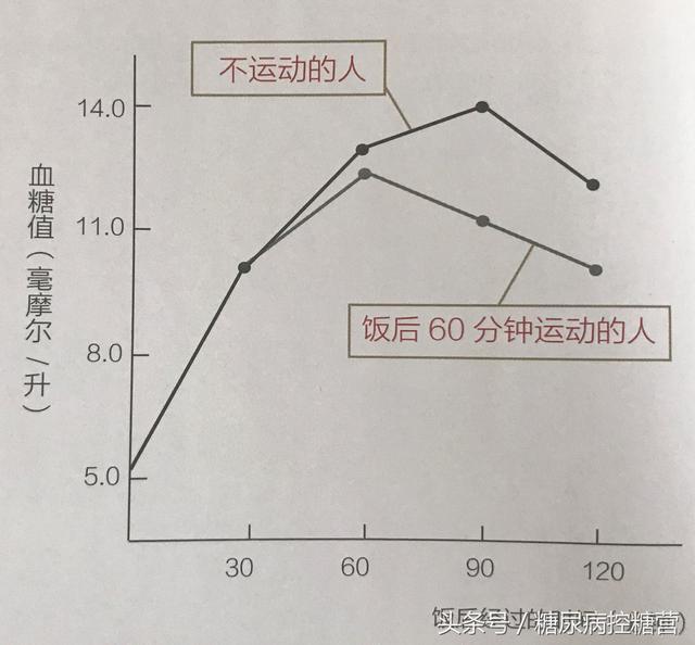 温和运动与血糖稳定的关联研究