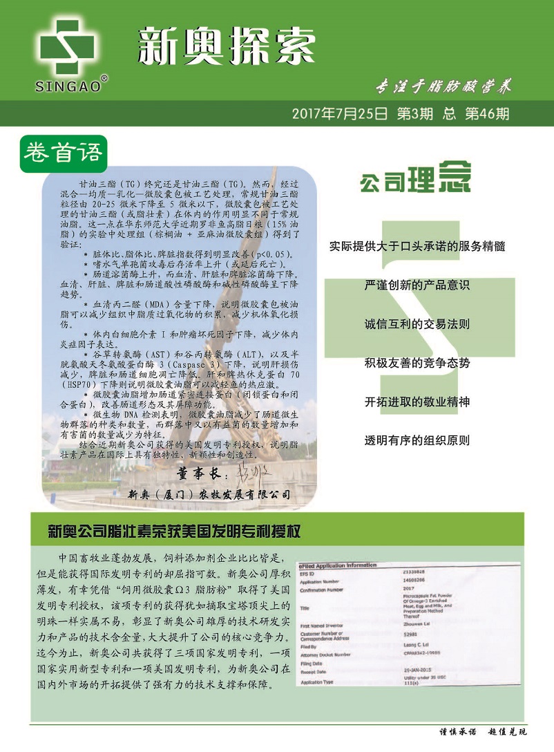216677新奥彩,实践策略设计_优选版48.450