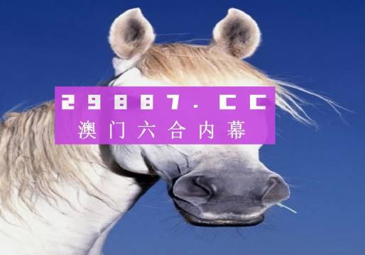 澳门4949开奖结果最快,专业评估解析_VR35.956