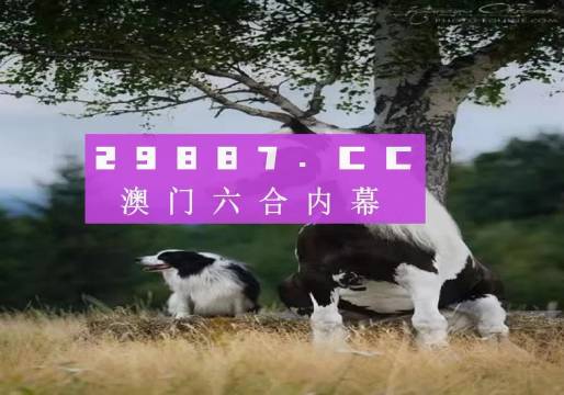今晚澳门特马开什么今晚四不像,高效解读说明_超值版94.251