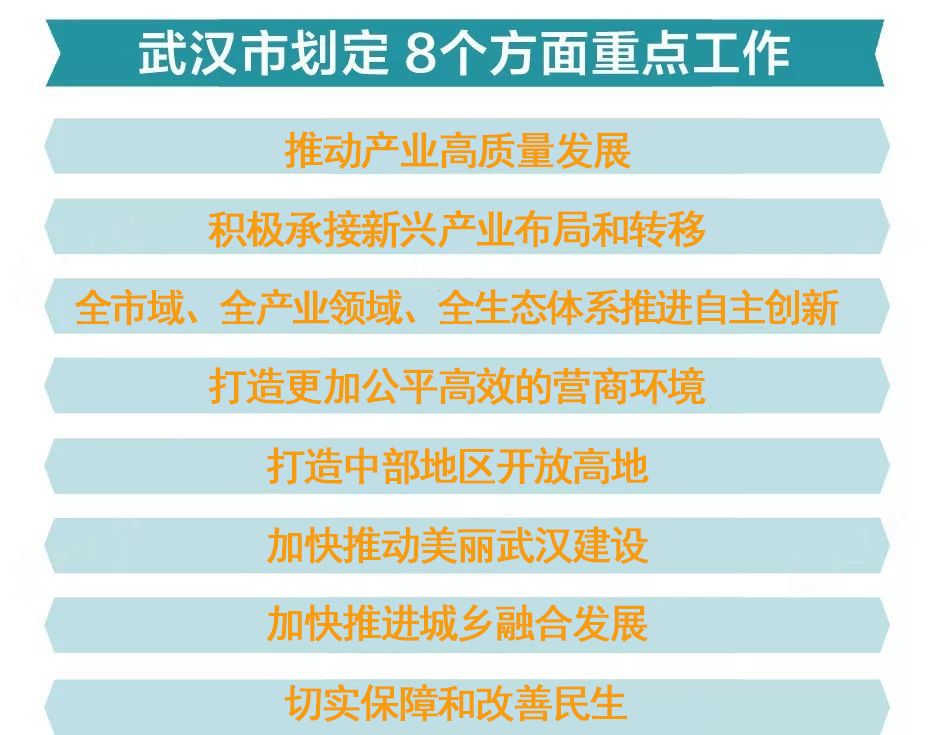 2024年正版资料免费大全下载,精准分析实施_特别款79.345