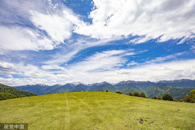 高山草甸悠闲午后时光体验记
