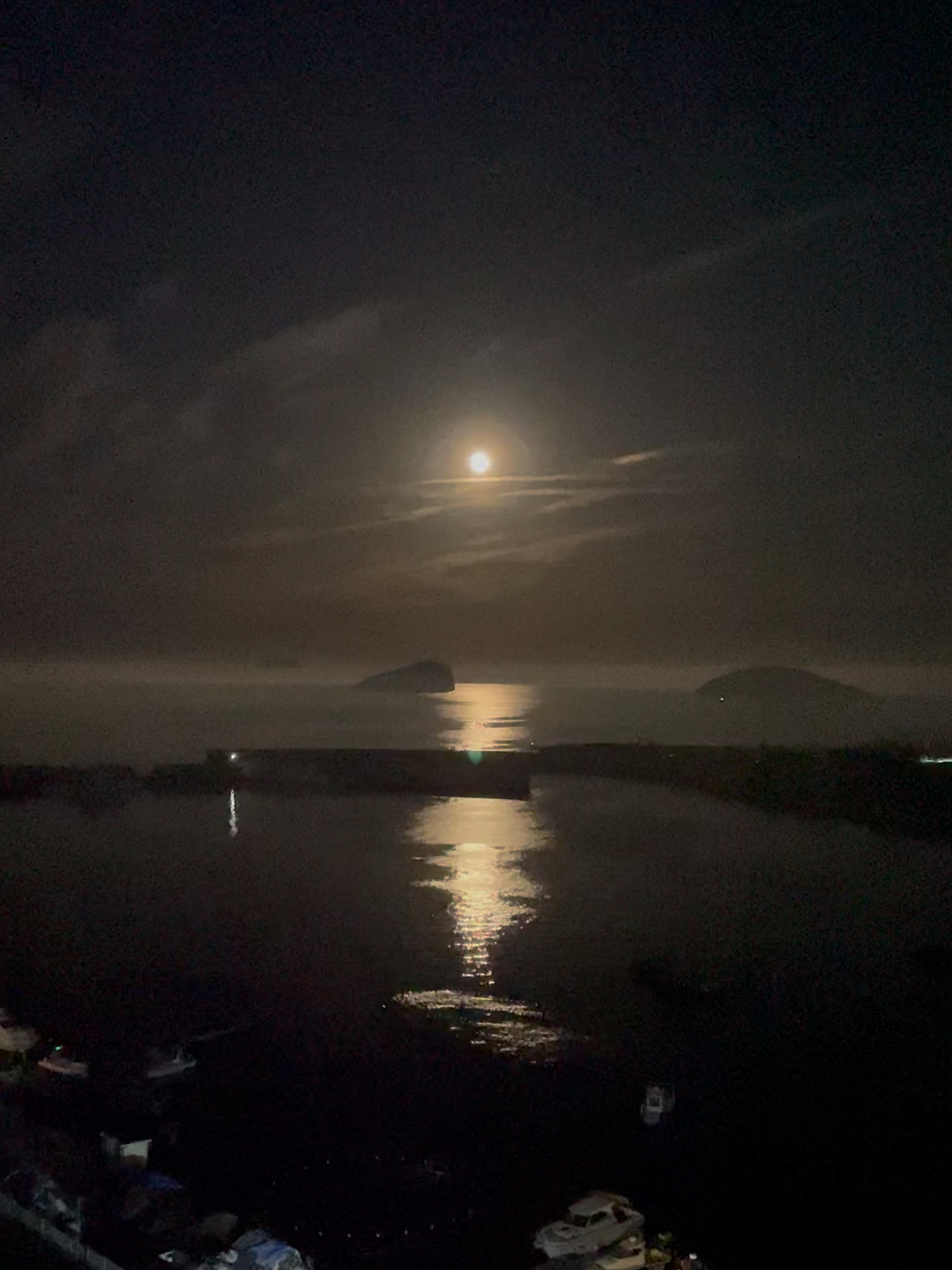 夜晚的海面，月光下的银色画卷