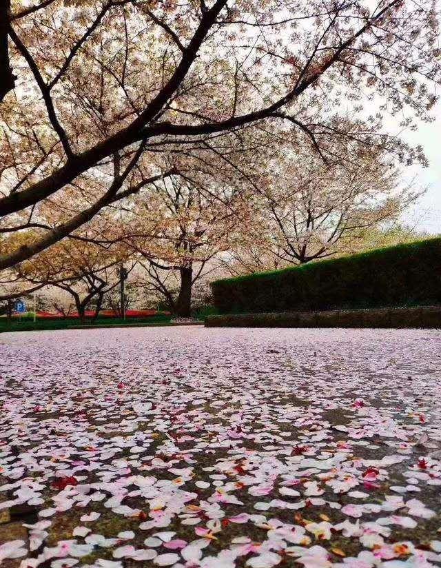智能建筑减少环境负面影响策略探讨