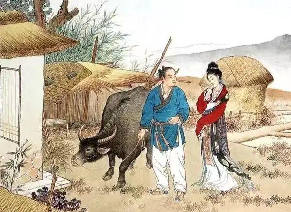 自给自足田园生活，品尝自种食材的绝美滋味
