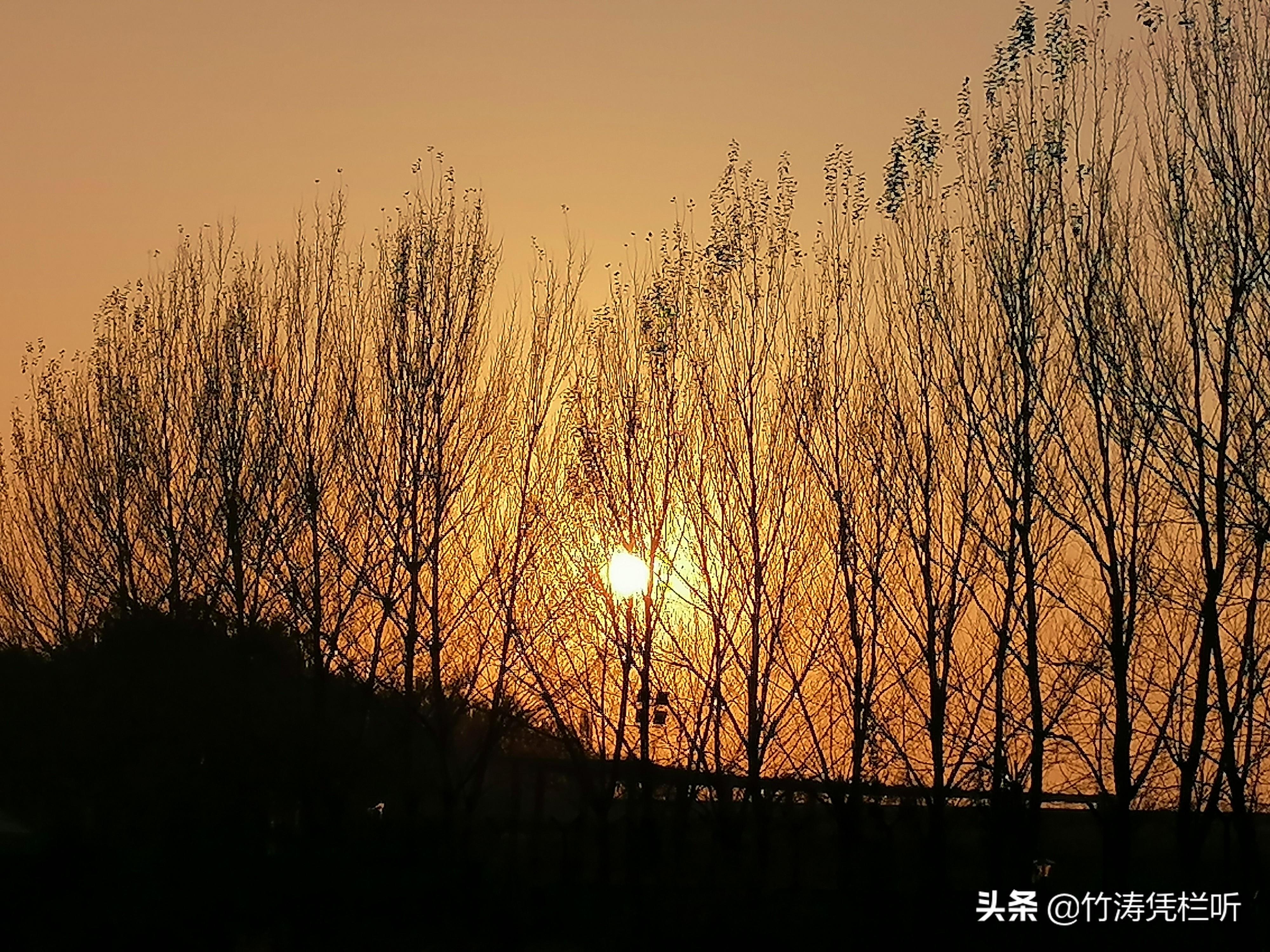 秋日金色天际的温暖诗篇，黄昏的浪漫交响曲