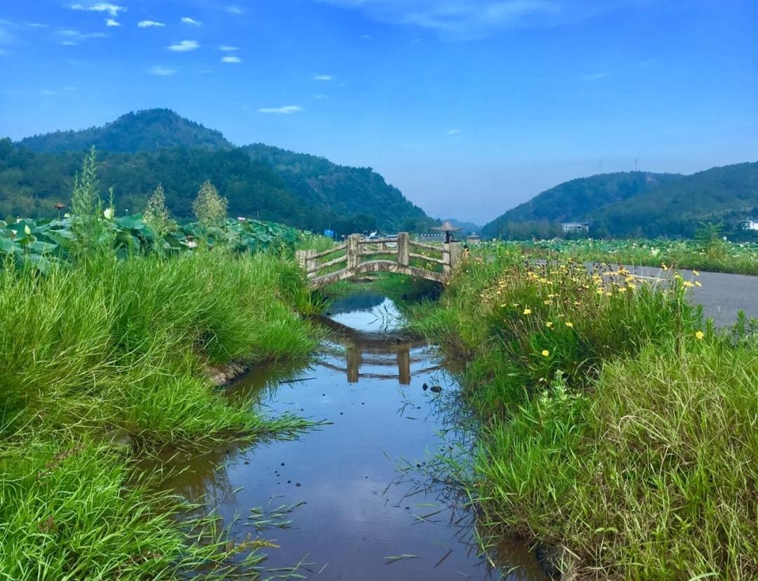 湖畔晨雾，如梦如幻的秘境