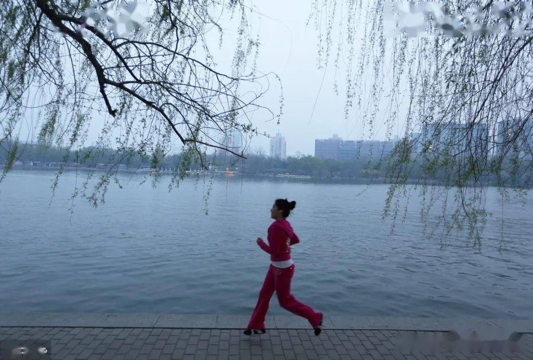 湖畔柳影之美，微风轻拂的倒影魅力