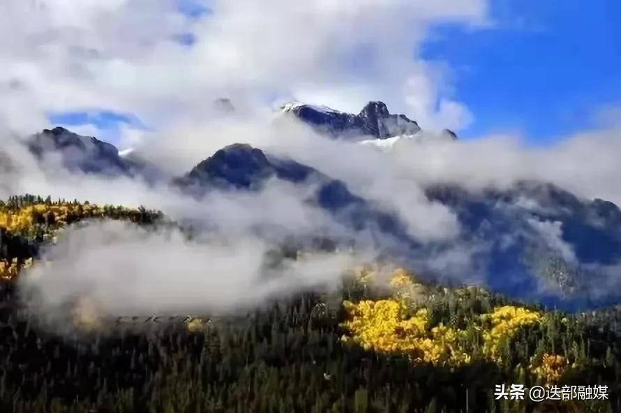 白雪覆盖下的宁静世界