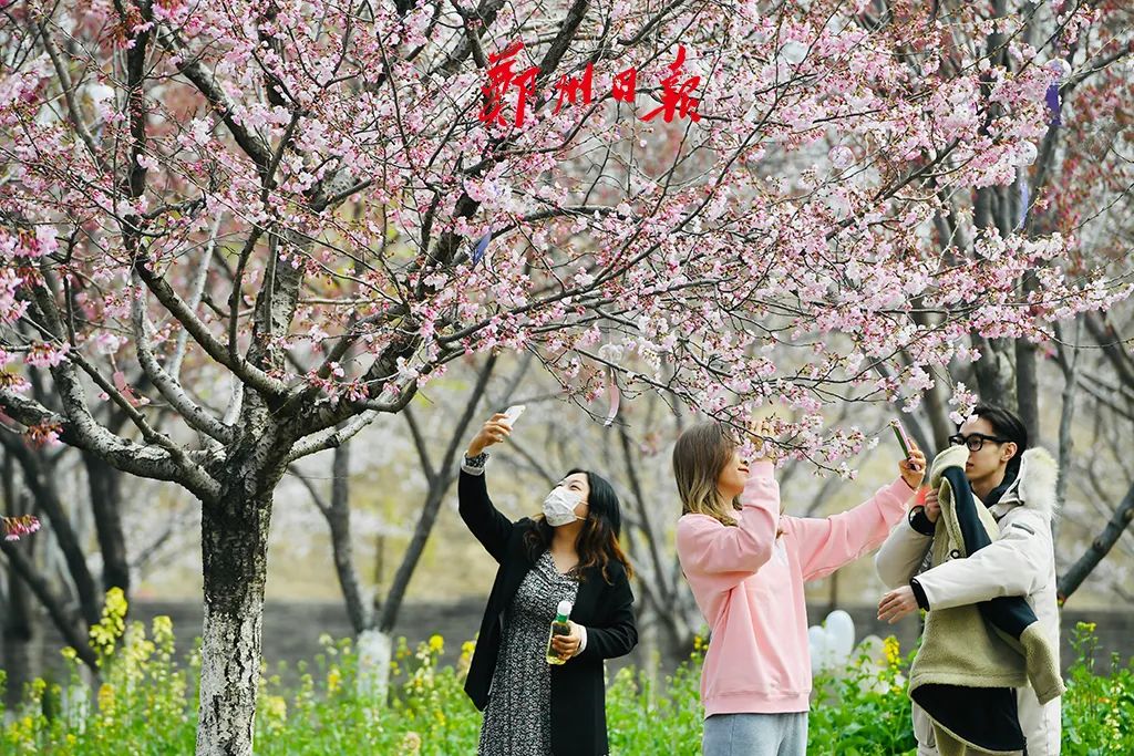春雨后，世界如画，清新花香沁人心脾