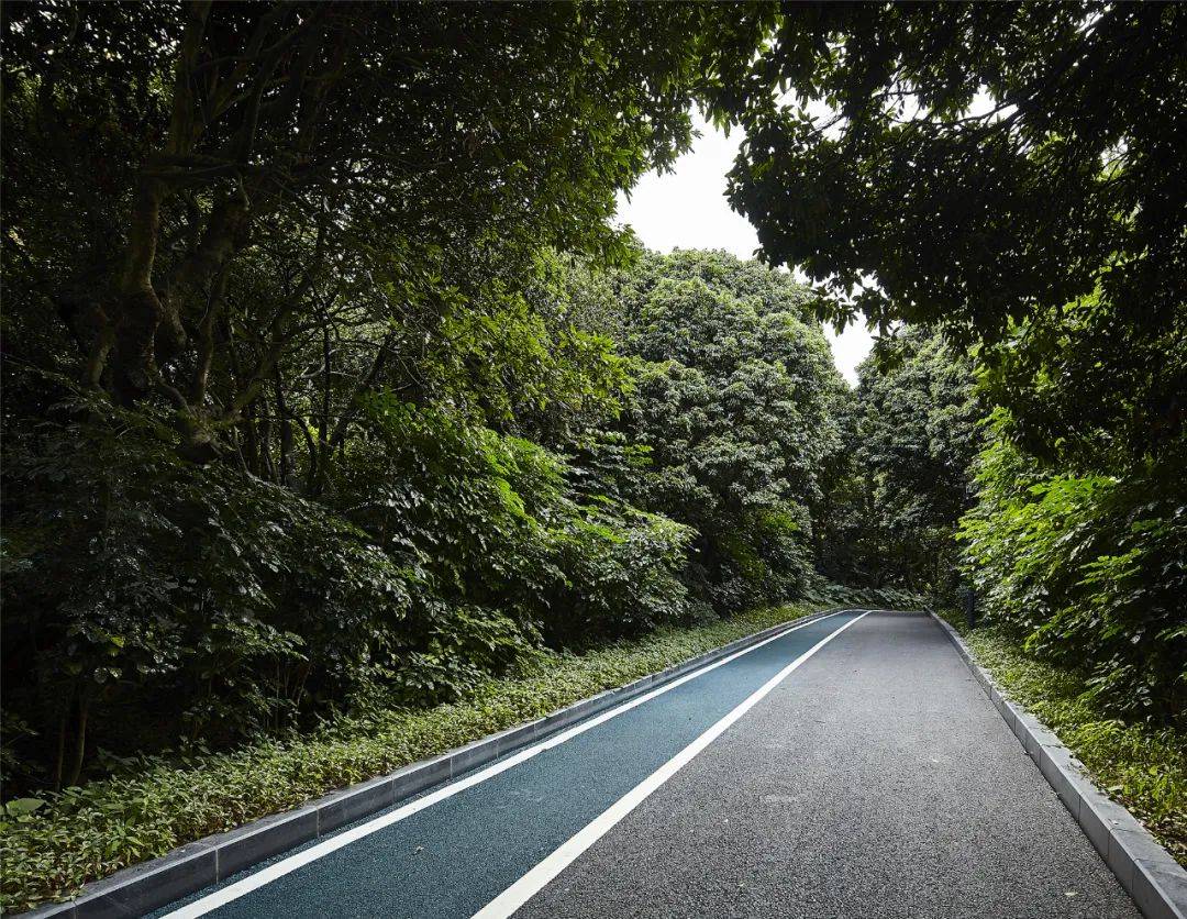 清晨公园，活力跑步时光