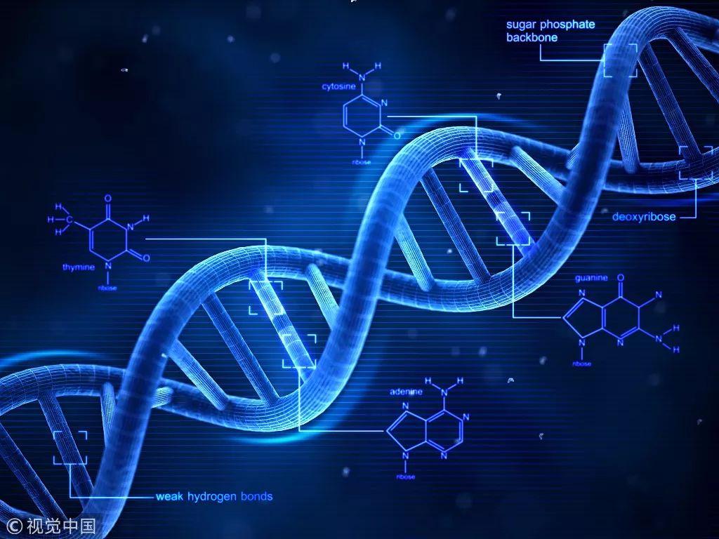 基因编辑技术助力个性化医学革新之路