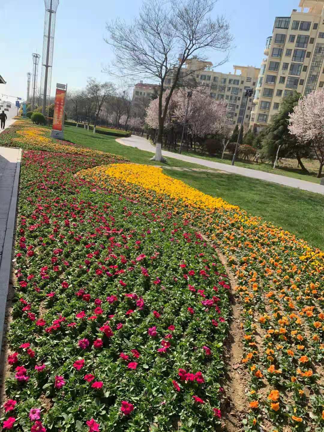 随季节调整家居色调，营造时令氛围新风尚