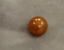 女子意外发现百万价值龙珠，一次洗菜经历改写命运篇章