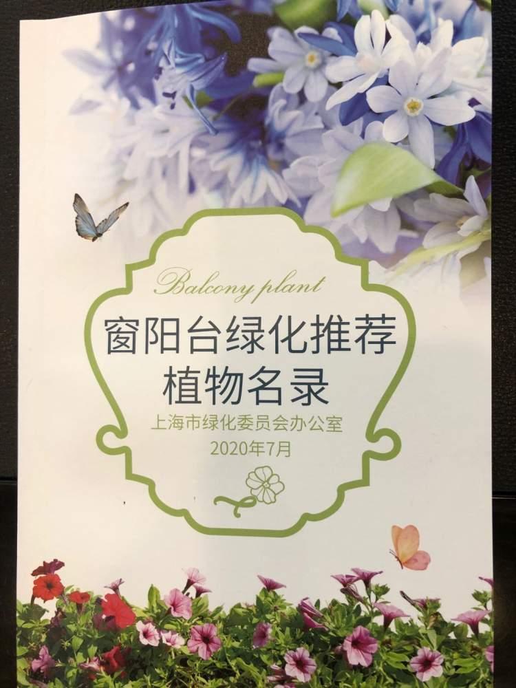阳台绿化，打造家庭清新小天地