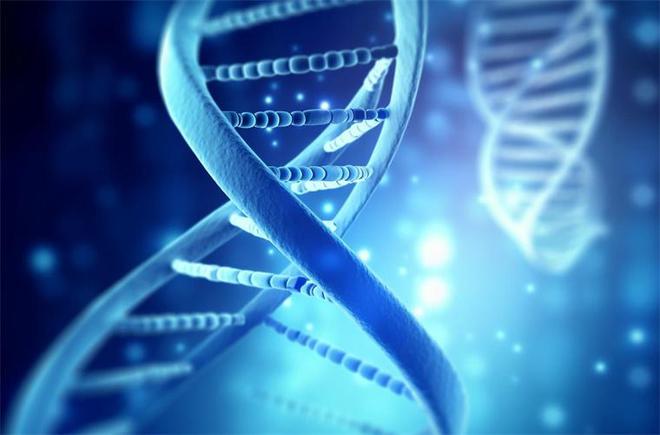 基因组学助力生物医药领域实现创新突破