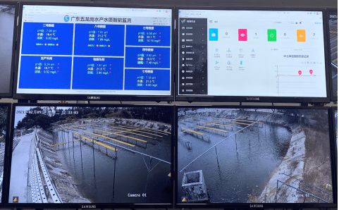 水产养殖技术创新与生态渔业模式的推广实践