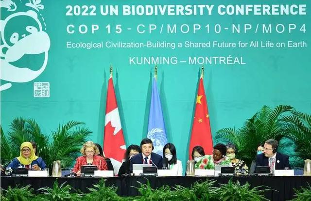 全球生物多样性保护会议达成新共识，携手守护地球生命网络