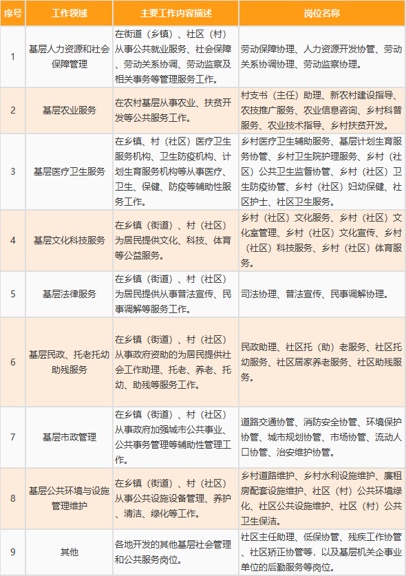 高校学生就业指导全面升级，多元化方向与策略深化探索