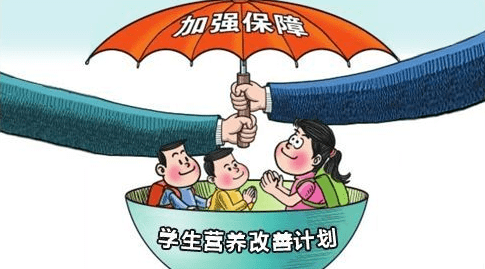 学校营养午餐计划成效显著，学生健康状况显著改善