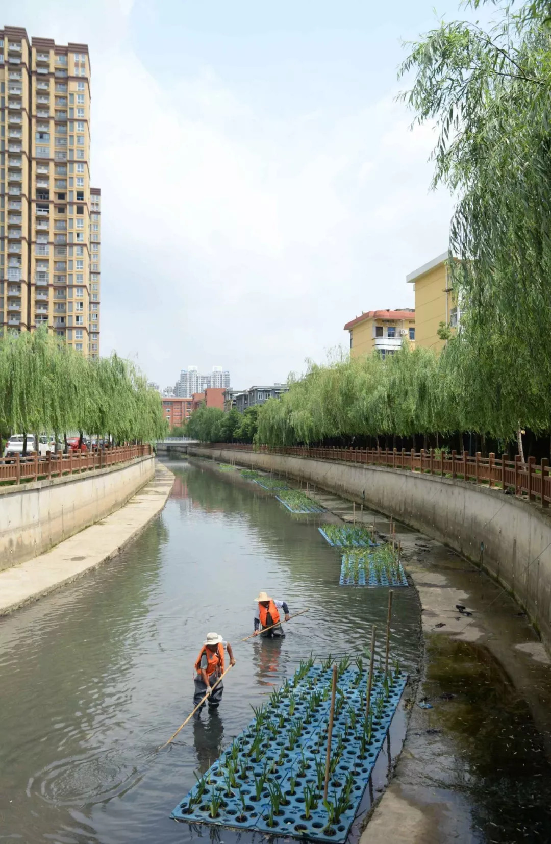 多地河流治理见成效，水质改善初露曙光