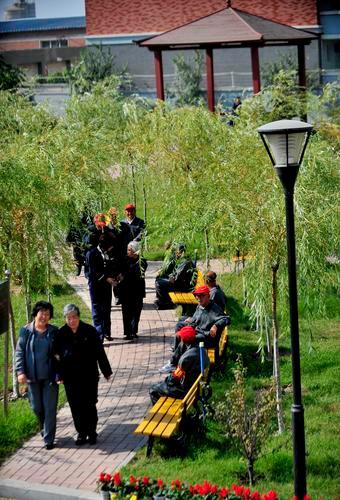 居家办公效率差异与未来职场模式多元化探讨