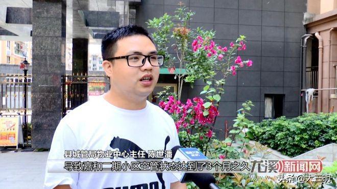 城市老旧电梯更新计划启动，居民安全感大幅提升