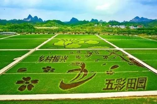 乡村田园综合体建设加速，生态农业与旅游融合，打造新时代田园诗意栖居地