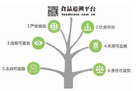 食品溯源技术提升与消费者信任度显著增强