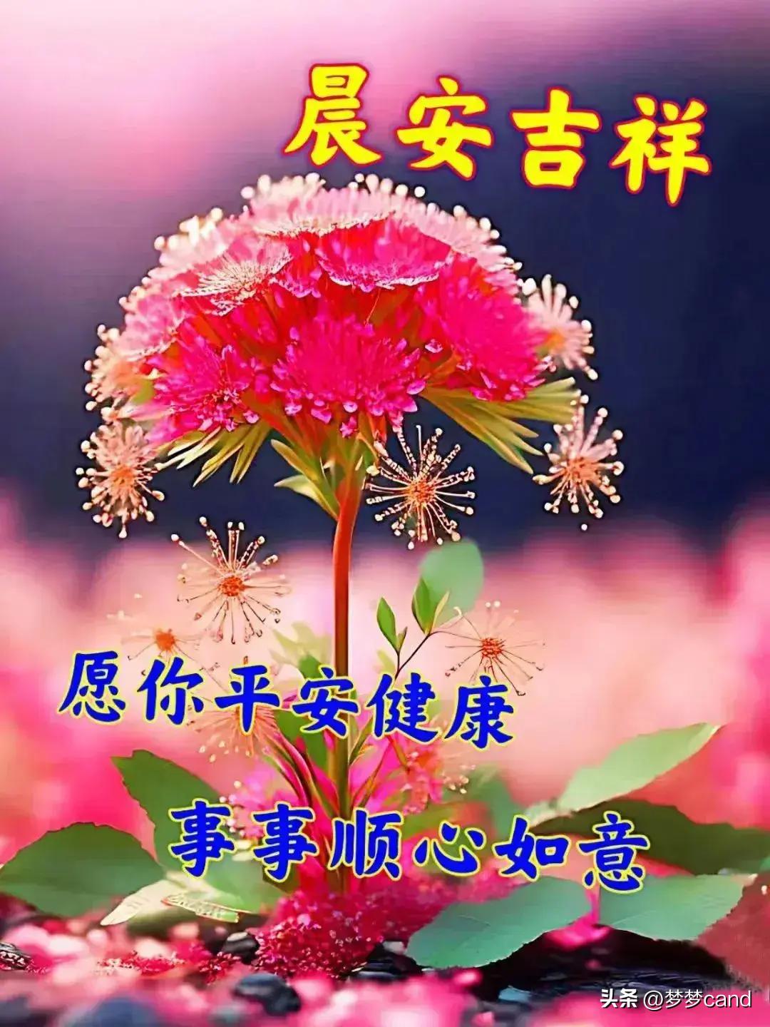 2024年天天彩正版资料,科技评估解析说明_游戏版71.365