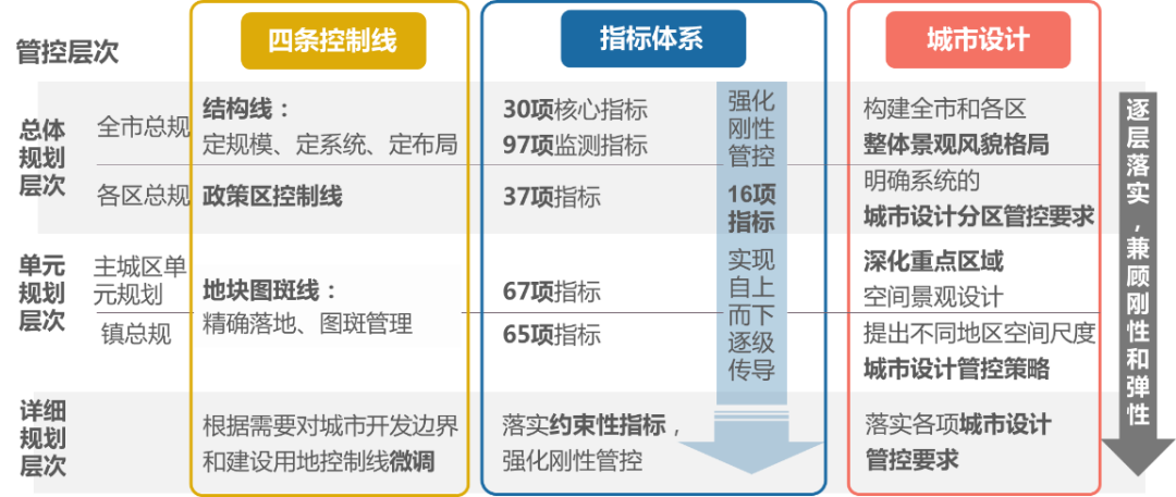 多地推行宠物芯片政策，数字化新时代引领宠物管理革新