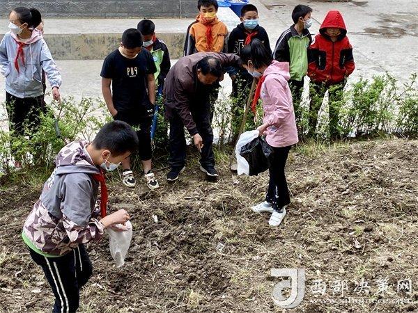校园农田教育项目推动下的学生环保意识显著提升