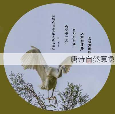 古代诗词中的自然意象与哲学思想探析