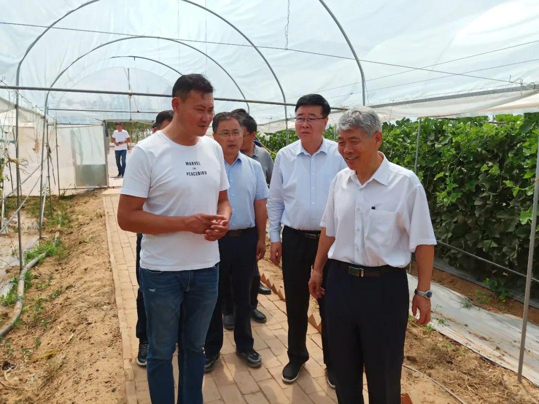 新澳全年免费资料大全,实地考察分析_钱包版53.570
