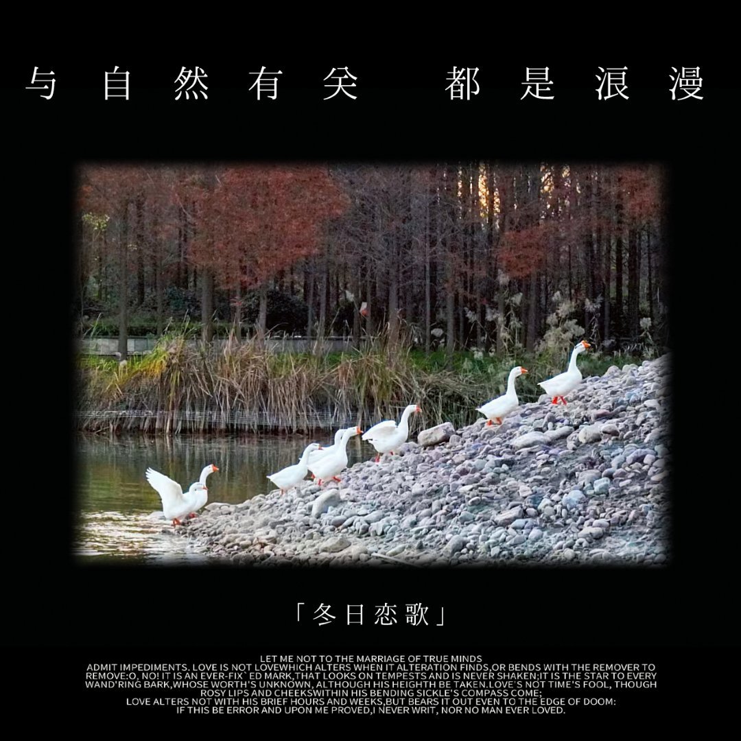 自然与人文的交融，艺术中的和谐共处与表现