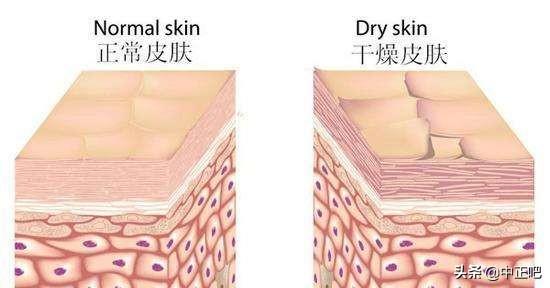 营养不良对皮肤的潜在危害与影响