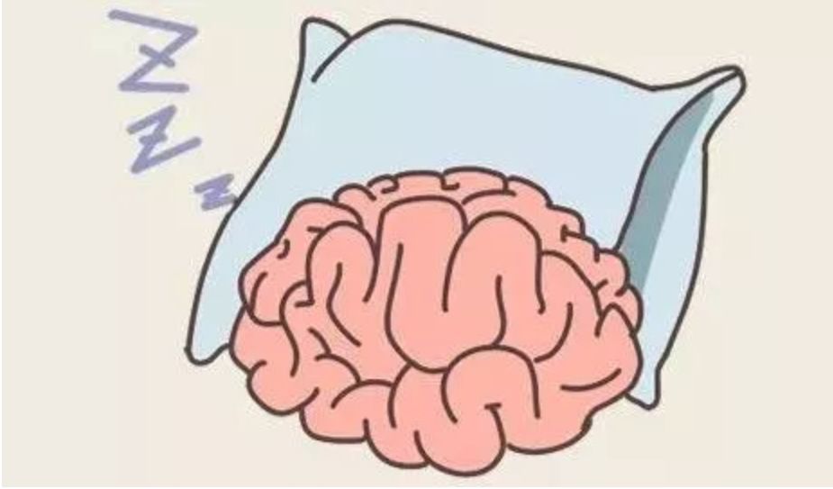 大脑活力日常活动提升秘籍