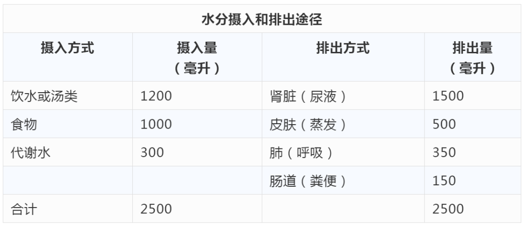每日饮水量与身体代谢的紧密联系