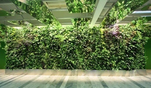 室内垂直绿化空间的打造，植被框架方法探究