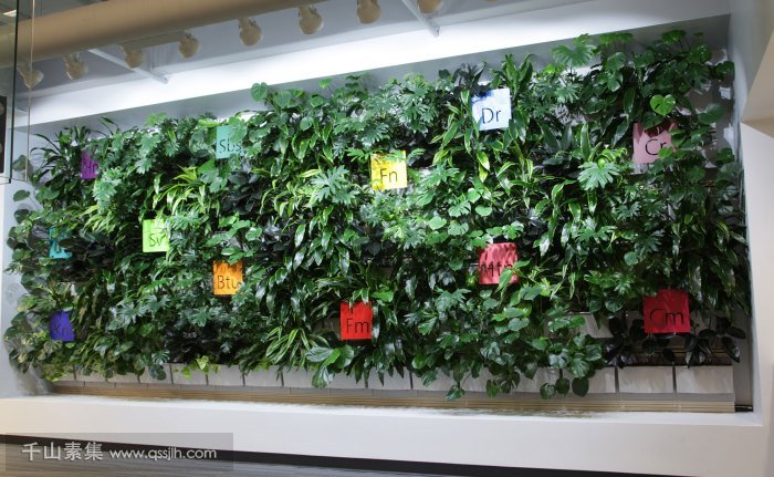 墙面植物种植系统，室内绿化的生态应用