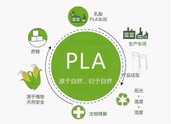 唯有时光 第8页