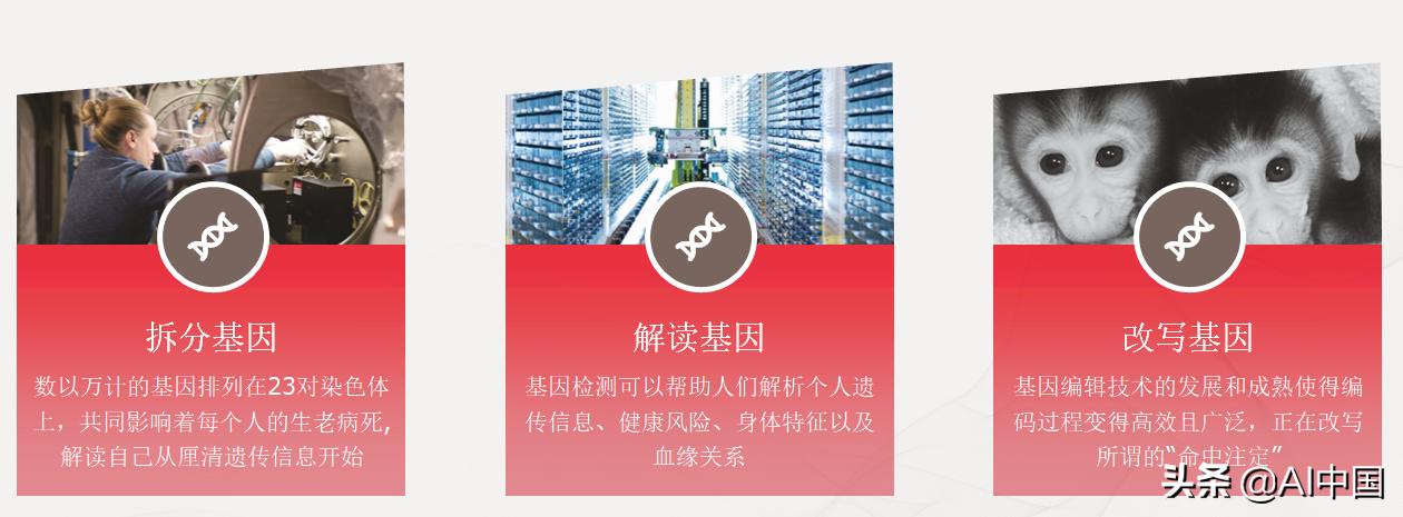 基因组学研究突破引领医学创新浪潮