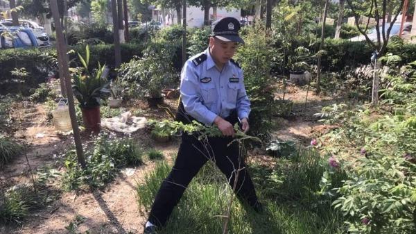 无人机在农业中应用，提升种植效率与精准度的关键策略