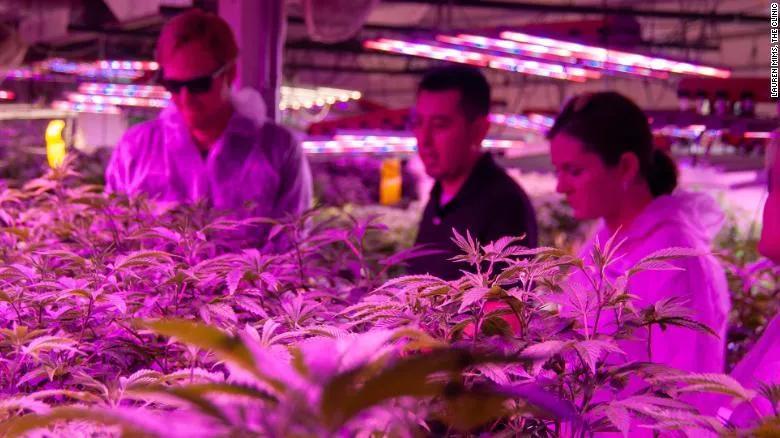 智能物流技术助力碳足迹减排，交通运输领域的绿色革命之路