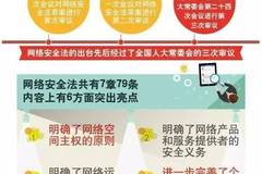 网络隐私保护，提升数字平台用户信任的关键