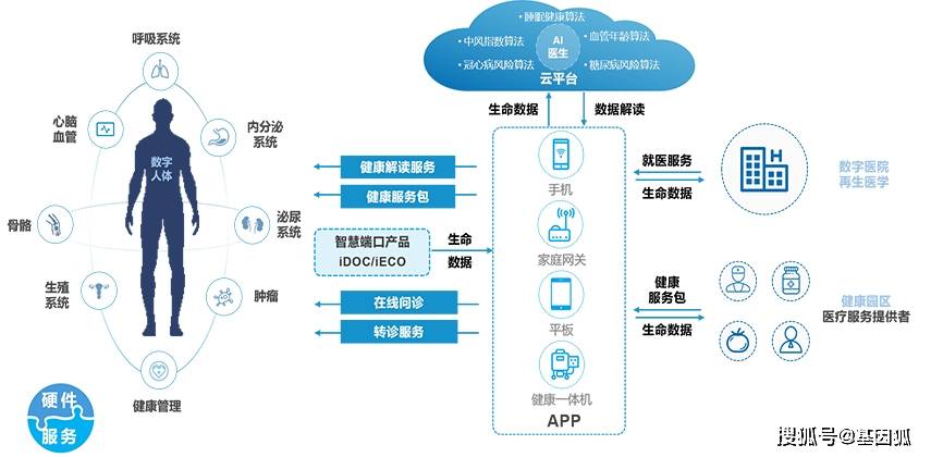 大数据在公共健康管理中的科学依据应用探究