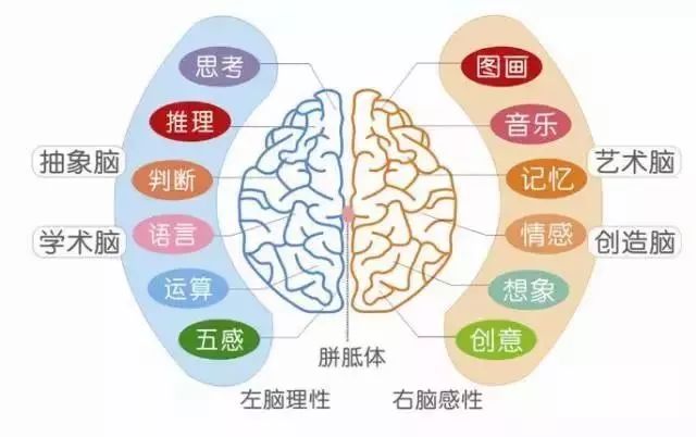 孩子情感共鸣能力的早期培养与塑造