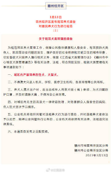 赣州公园犬只伤人事件通报，责任追究与防范措施的反思